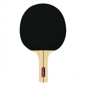 Set 4 Raquetas Butterfly RDJ + 6 Bolas