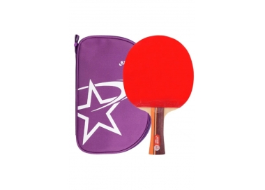 Raqueta DHS T 2002