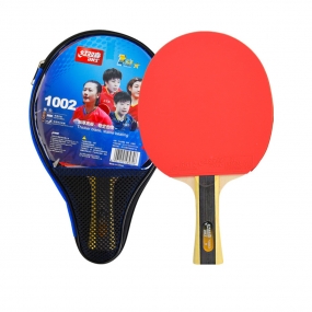 Raqueta DHS T 1002