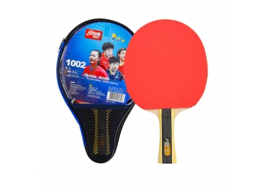 Raqueta DHS T 1002