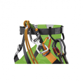 Canyon Club Petzl